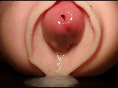 إيفلين ستون لديها ترفيه جنسي بوف مع مواقع سكس مدبلج زوجها